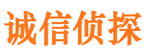 田家庵侦探